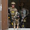 <![CDATA[ 'Cães de guerra' portugueses em exercício em França ]]>