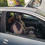 Cadela abandonada em carro uma semana sem água nem comida