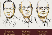 Nobel da Química atribuído a Susumu Kyagawa, Richard Robson e Omar M. Yaghi