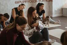 Sessão de bem-estar com cachorros da PuppyologyOfficial