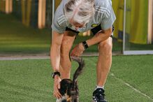 Jorge Jesus encontra gatinha durante treino do Al Nassr