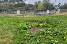 Paisagem campestre com edifícios e vegetação