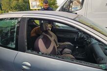 Cadela abandonada em carro durante uma semana sem água nem comida em Marselha