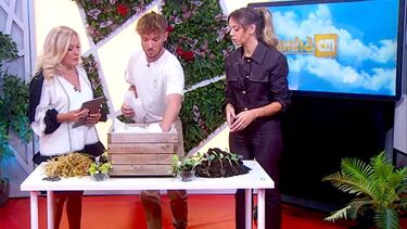 Sabia que pode ter uma horta em casa e de forma totalmente sustentável? 