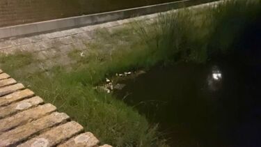 Corpo de homem encontrado em lago em Évora