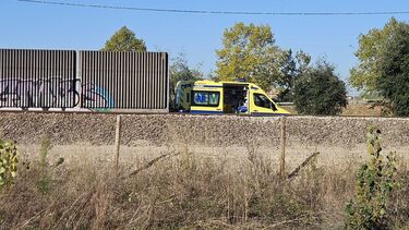 Homem morre atropelado por comboio na Mealhada