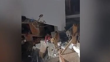 Constituído arguido por abandonar cães famintos em casa devoluta em Mangualde