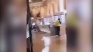 Vídeo capta um dos ladrões que assaltou Museu do Louvre a partir vitrine em plena luz do dia