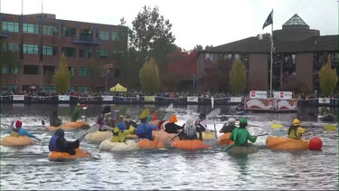 ‘Navegar’ em abóboras gigantes? Sim, e há uma regata que é um sucesso  