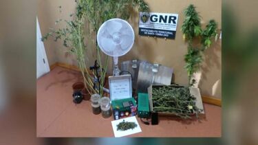 GNR apreende laboratório artesanal usado para produzir droga em Tondela