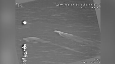 Vídeo divulgado pela marinha dos EUA mostra suposta interdição de navio de contrabando no Pacífico 