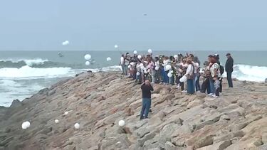 Família e amigos prestam última homenagem a vereadora de Vagos morta pelo filho 