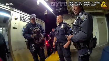 Cão preso debaixo de carruagem do metro em Nova Iorque é resgatado pela polícia  