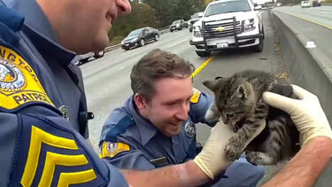Imagens emocionantes mostram momento em que polícia resgata gato bebé preso em separador de autoestrada nos EUA   