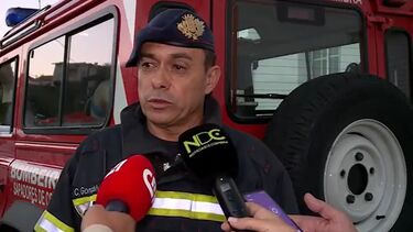 Encontrado morto em Coimbra homem desaparecido durante apanha da azeitona