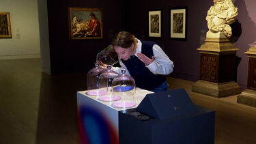 Sabe qual é o cheiro da guerra ou do amor? Neste museu na Alemanha pode senti-lo  