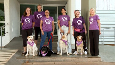 Cães de terapia ajudam pacientes com problemas de saúde mental em hospital no Brasil  