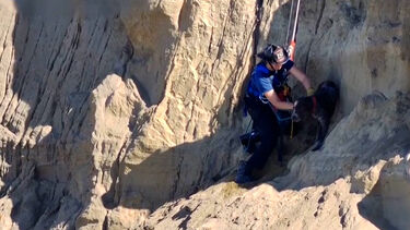 Bombeiros resgatam cão que caiu em penhasco nos EUA 