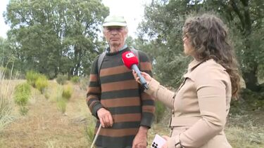 “Tenho medo e já não as deixo no curral”: António perdeu sete ovelhas após ataque de lobos em Miranda do Douro  