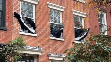 Pombo gigante realista dá nas vistas em fachada de Nova Iorque durante celebrações do Halloween 