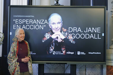 Jane Goodall numa conferência magistral em Málaga sobre "Esperanza en Acción"