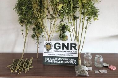 Dois detidos por tráfico de drogas no concelho de Vila Viçosa