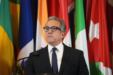 Khaled el-Enany