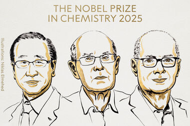 Nobel da Química atribuído a Susumu Kyagawa, Richard Robson e Omar M. Yaghi