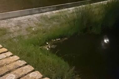 Corpo de homem encontrado em lago em Évora