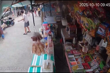 O momento em que sismo de magnitude 7.6 abalou o sul das Filipinas  