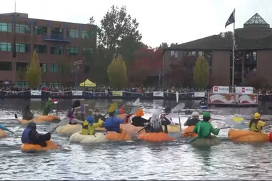 ‘Navegar’ em abóboras gigantes? Sim, e há uma regata que é um sucesso  