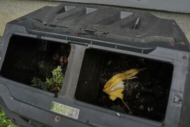 Almada implementa recolha seletiva de resíduos alimentares e de jardim