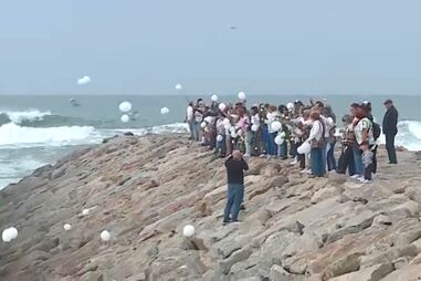 Família e amigos prestam última homenagem a vereadora de Vagos morta pelo filho 