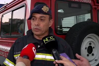 Encontrado morto em Coimbra homem desaparecido durante apanha da azeitona