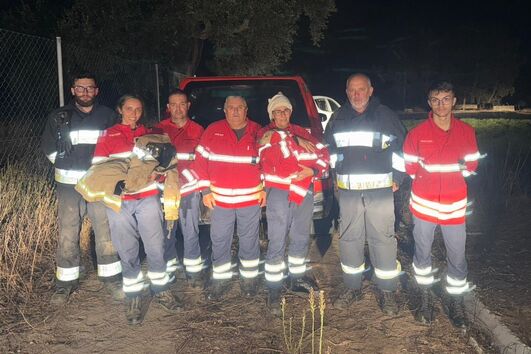 Bombeiros resgatam cães na ETAR de Vale de Água, Cercal do Alentejo