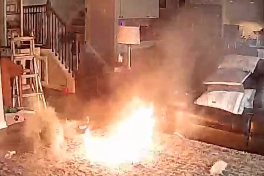 Cão provoca incêndio em casa ao roer bateria de lítio 