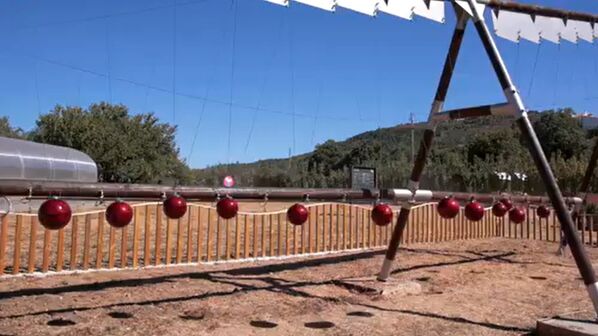 Saiba tudo sobre a primeira quinta dedicada a cerejas do Fundão