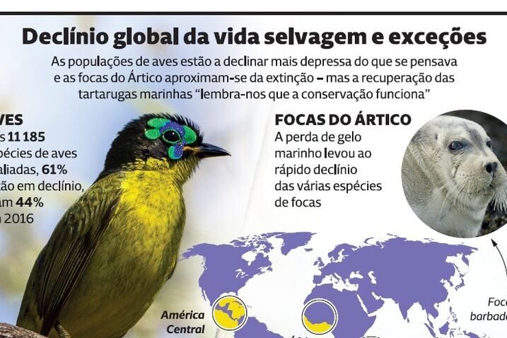 Alterações climáticas ameaçam espécies selvagens 