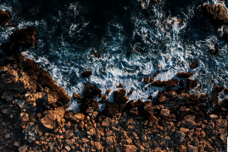 header_rabodepeixe