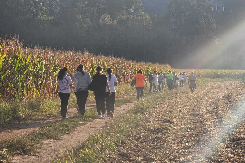 Buscas pela idosa de 80 anos desaparecida em Águeda