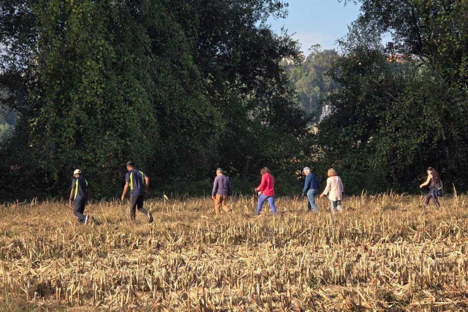 Buscas pela idosa de 80 anos desaparecida em Águeda