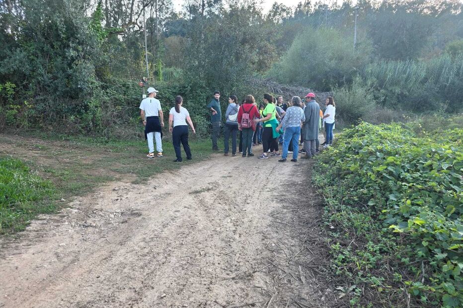 Buscas pela idosa de 80 anos desaparecida em Águeda