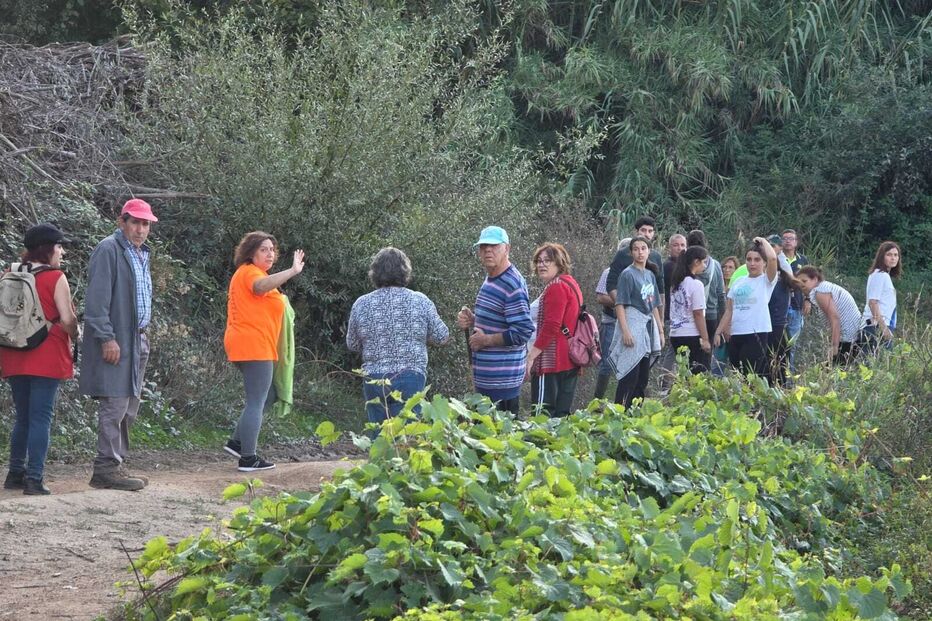 Buscas pela idosa de 80 anos desaparecida em Águeda