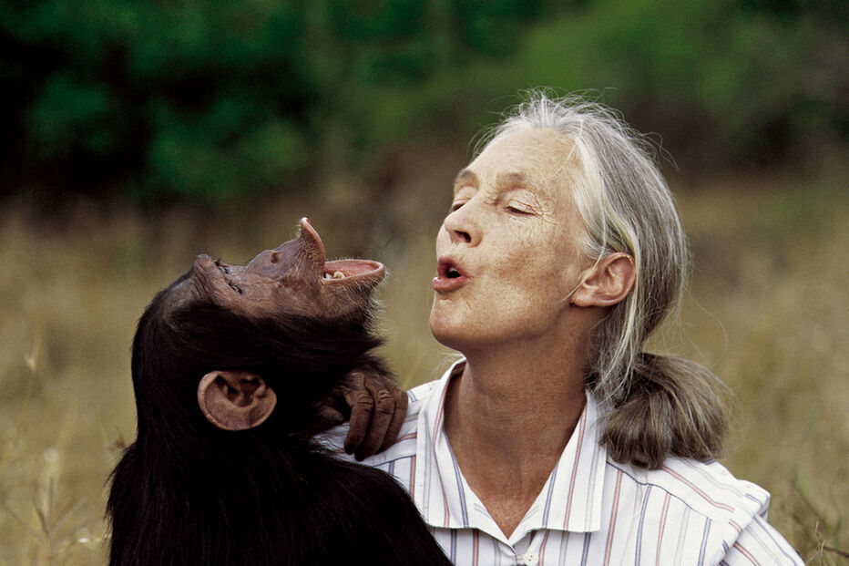 Jane Goodall