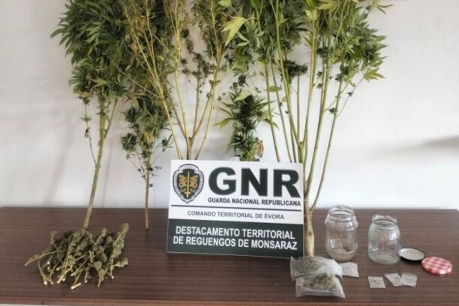 Dois detidos por tráfico de drogas no concelho de Vila Viçosa