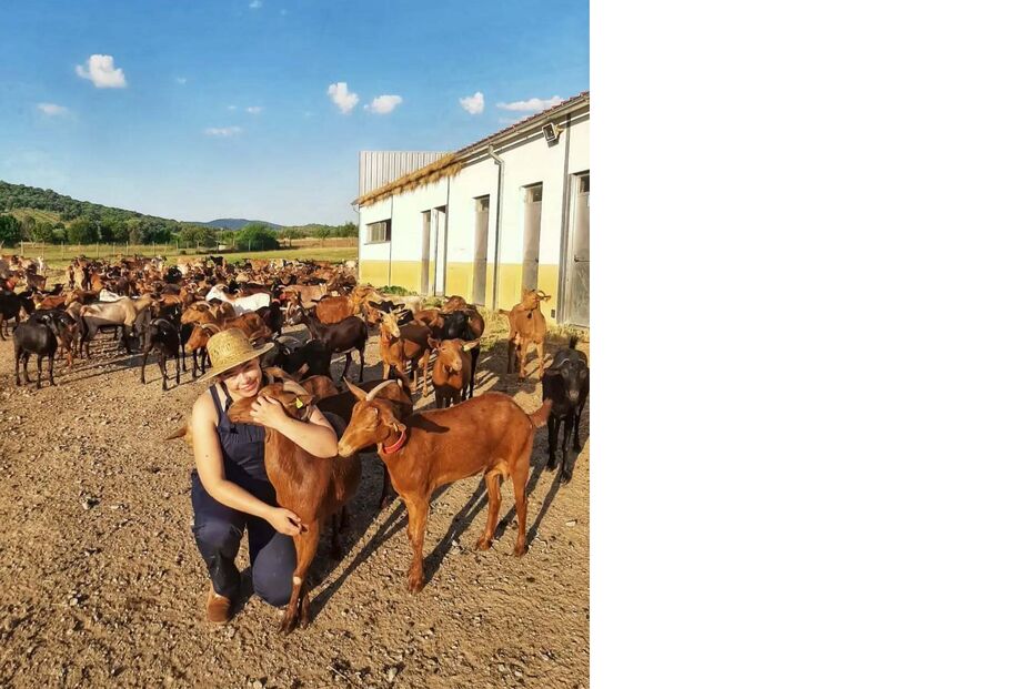 Catarina Manique com as suas cabras