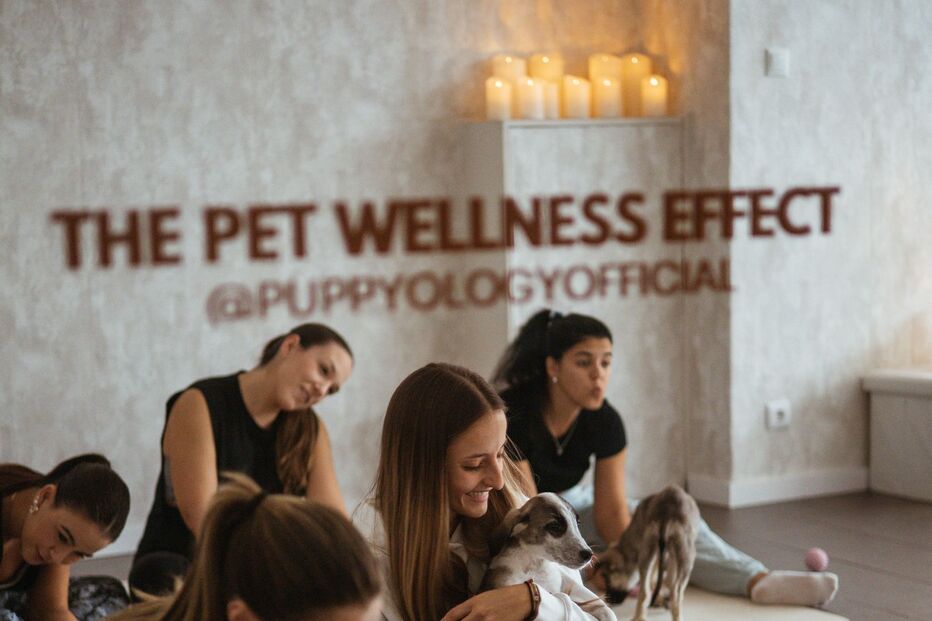 Sessão de bem-estar com cachorros da PuppyologyOfficial