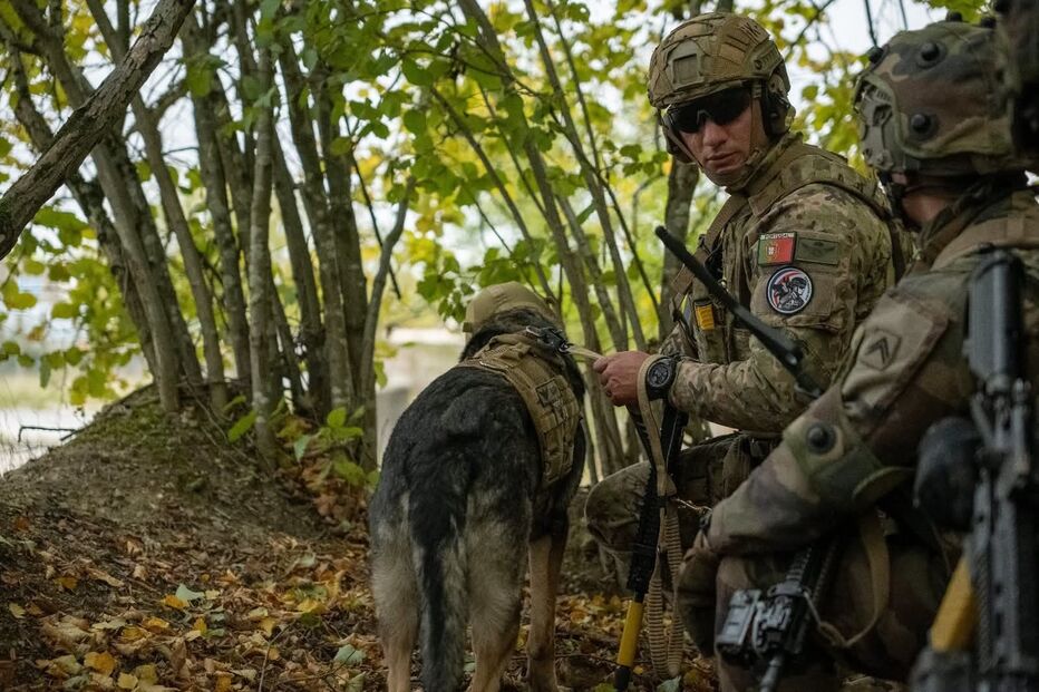 Militares portugueses e cães de guerra treinam em França no exercício 'Dog Figther 25'