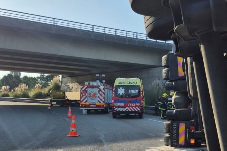 Homem ferido em despiste de camião na EN235 em Aveiro
