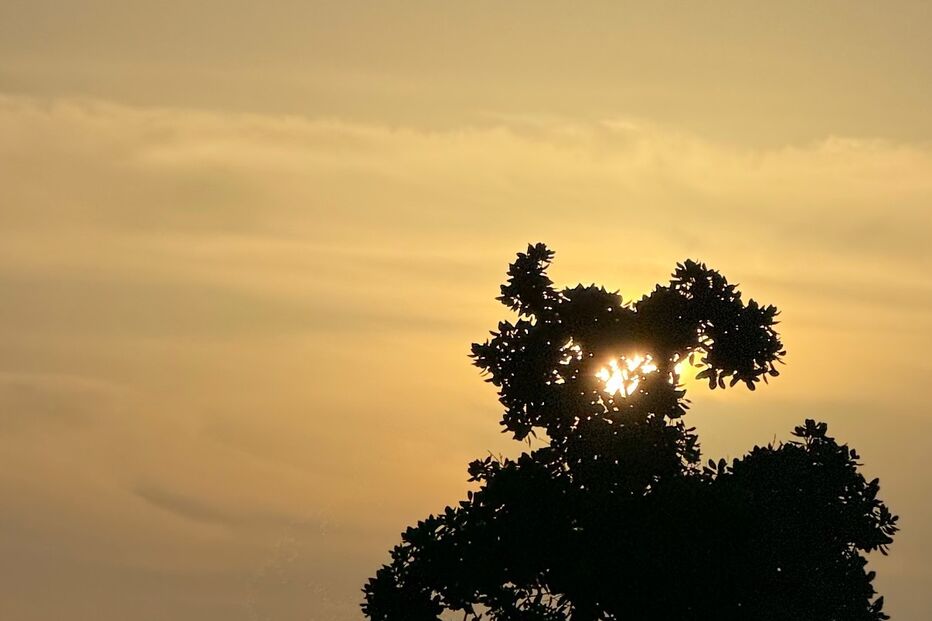 Cristina Ferreira declara-se ao namorado na sua cidade de eleição